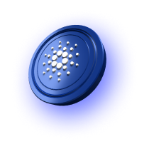 Opportunity to become a professional